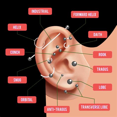 Scrotum Piercing: Meaning, Healing, Placement & Best Jewelry。